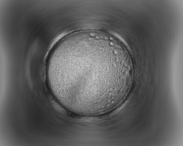 X0000085781075200703301420