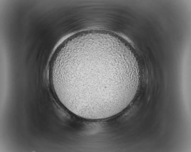 X0000085781078200703301420