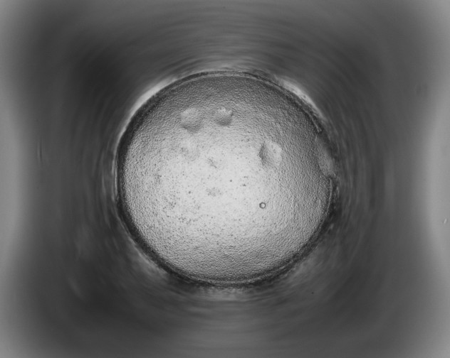 X0000085781079200703301420