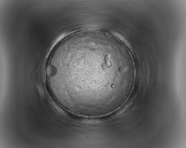 X0000085781083200703301420