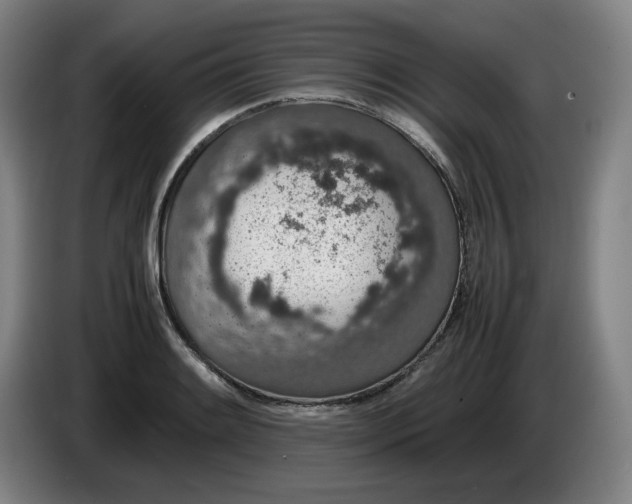 X0000085781084200703301420