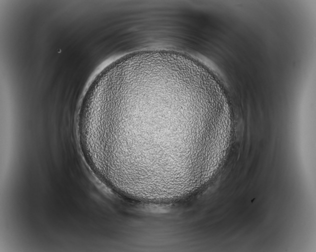 X0000085781086200703301420