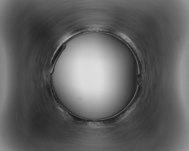 X0000085781089200703301420