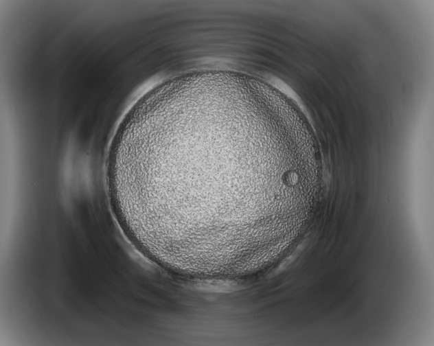 X0000085781090200703301420