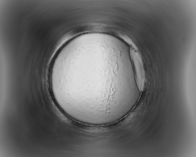 X0000085781091200703301420