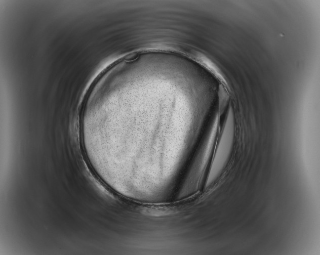 X0000085781092200703301420