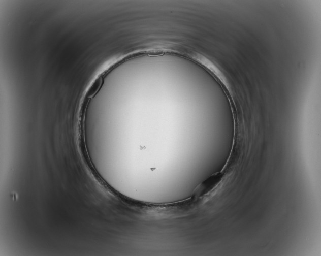 X0000085781093200703301420