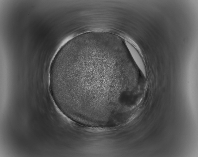 X0000085781095200703301420