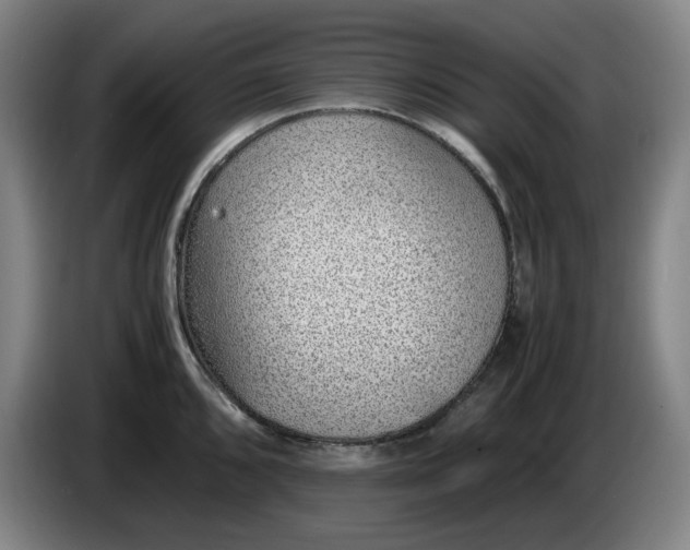 X0000085781096200703301420