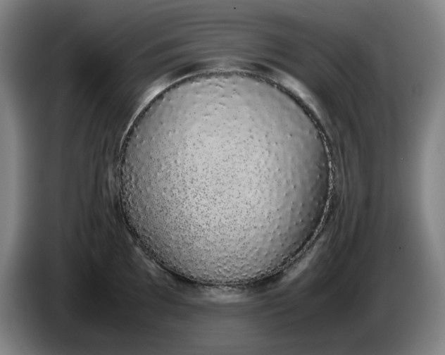 X0000085781097200703301420