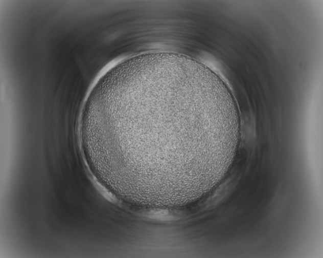 X0000085781098200703301420