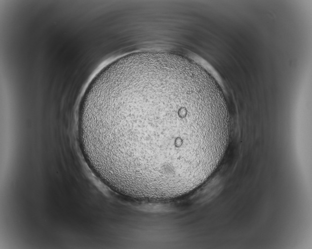 X0000085781099200703301420