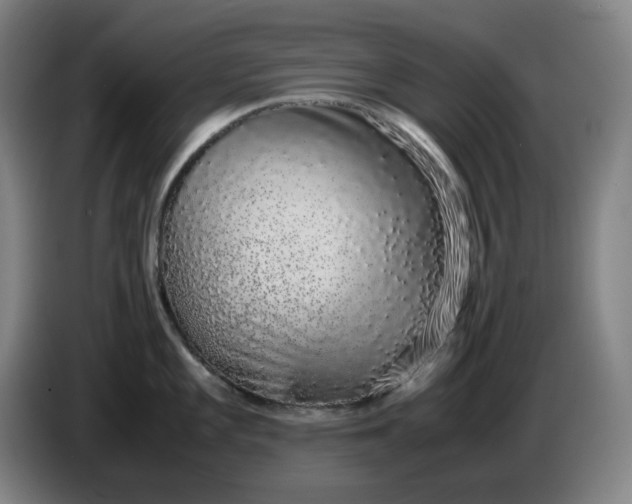 X0000085781101200703301420