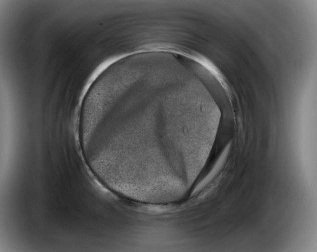 X0000085781102200703301420