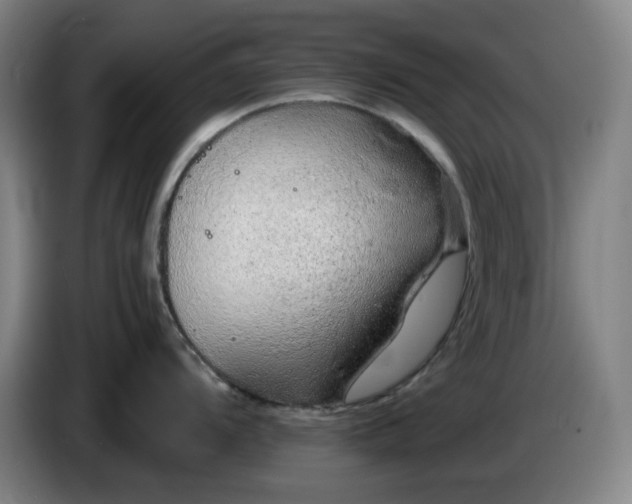 X0000085781104200703301420