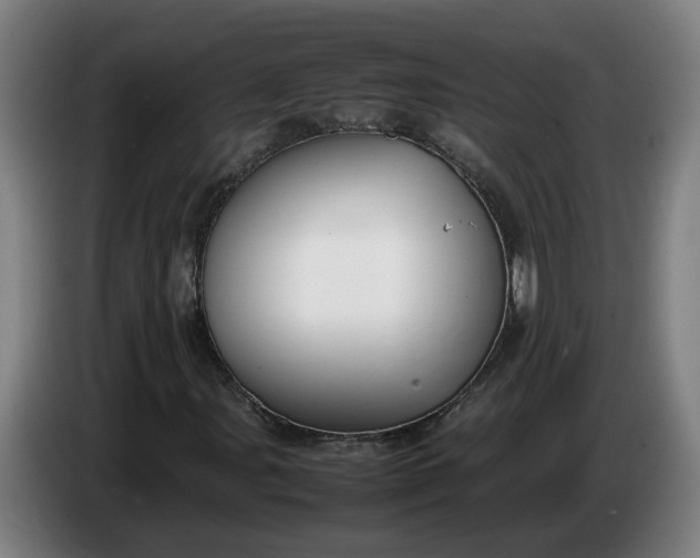 X0000085781107200703301419