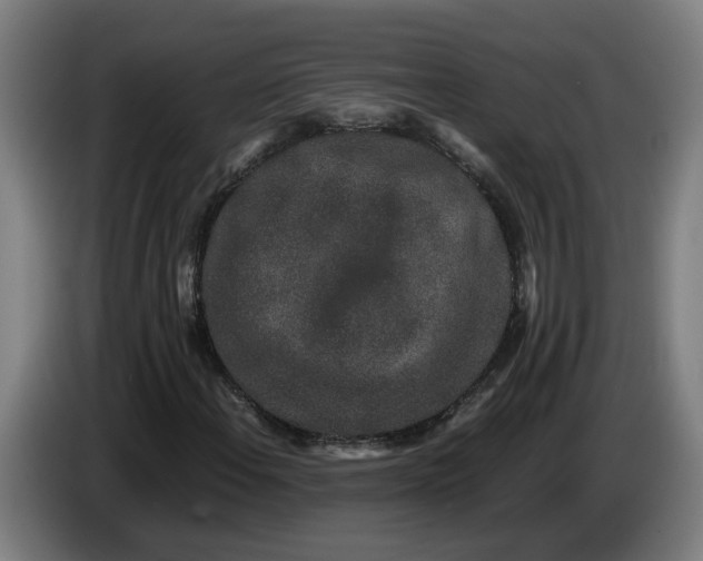 X0000085781108200703301419