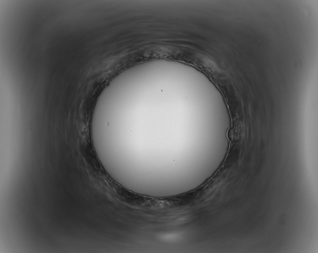 X0000085781109200703301419