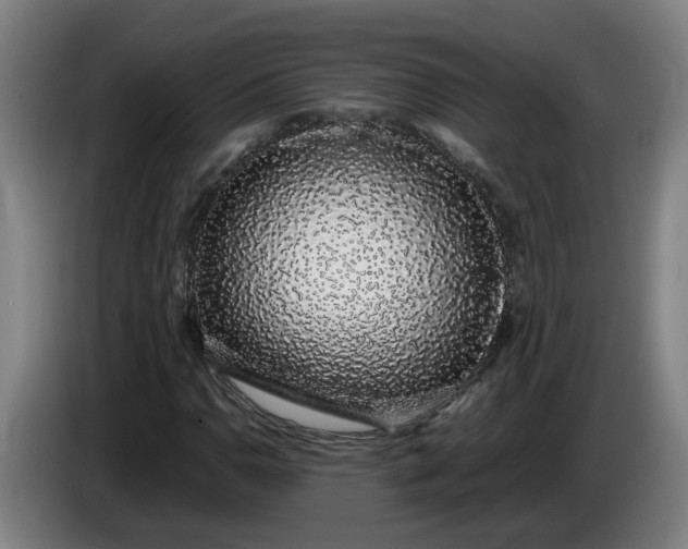 X0000085781110200703301419