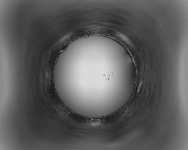 X0000085781111200703301419