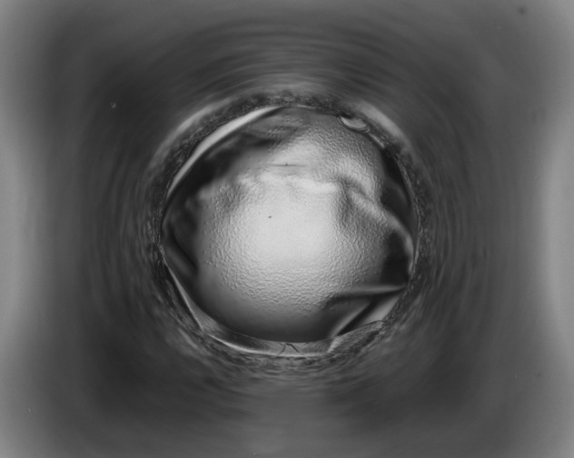 X0000085781112200703301419