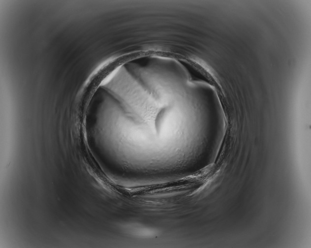 X0000085781115200703301419