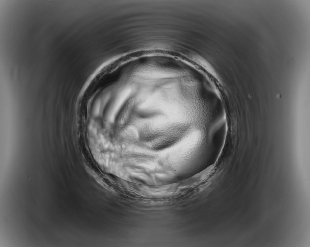 X0000085781116200703301419