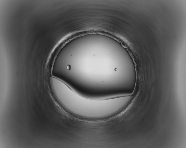 X0000085781118200703301419