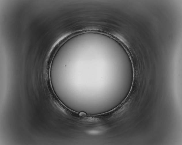 X0000085781119200703301419