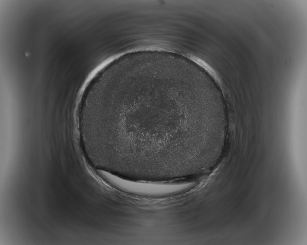 X0000085781120200703301419