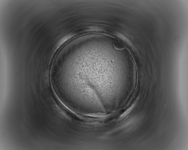 X0000085781121200703301419