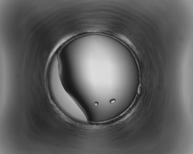 X0000085781122200703301419