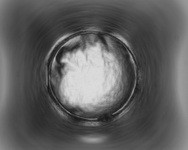 X0000085781123200703301419