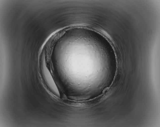 X0000085781124200703301419