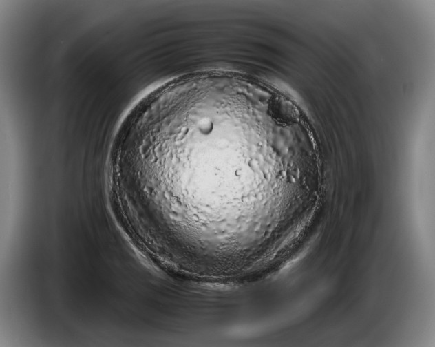 X0000085781125200703301419