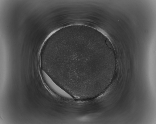 X0000085781127200703301419