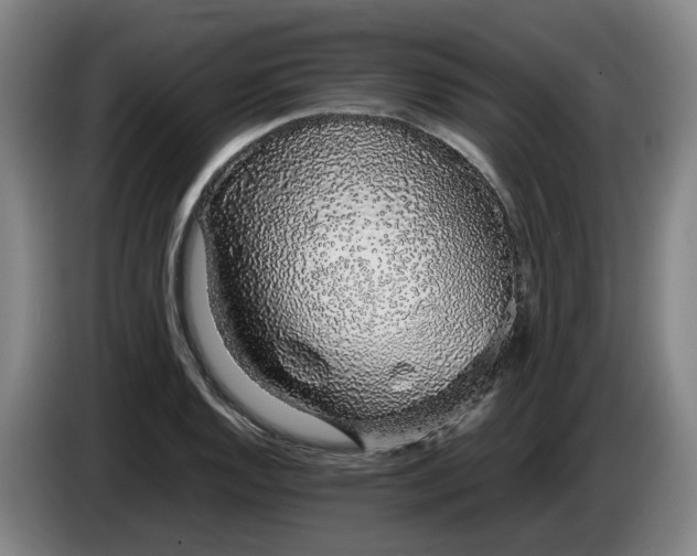 X0000085781128200703301419