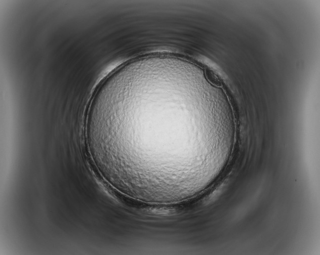 X0000085781129200703301419