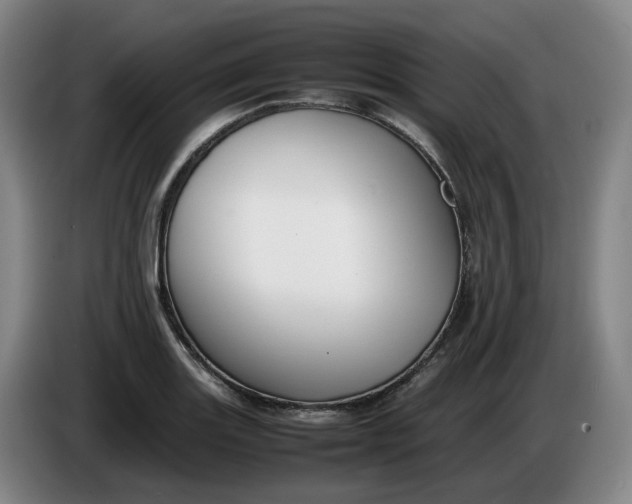 X0000085781131200703301419