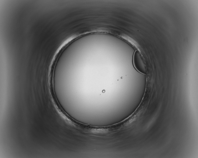 X0000085781135200703301419