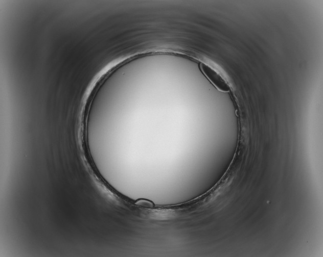 X0000085781136200703301419