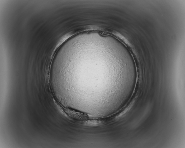 X0000085781137200703301419