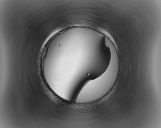 X0000085781138200703301419