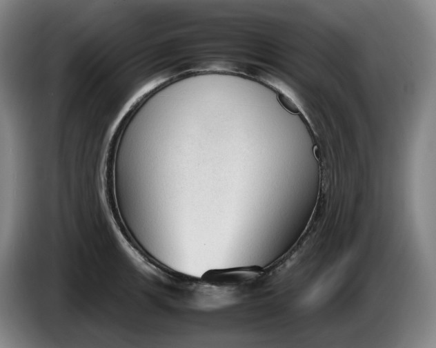 X0000085781139200703301419