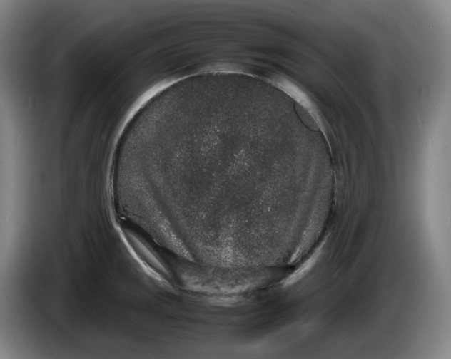 X0000085781141200703301419