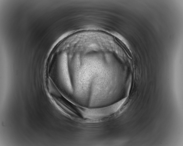 X0000085781142200703301419