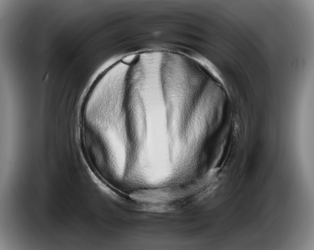 X0000085781143200703301419