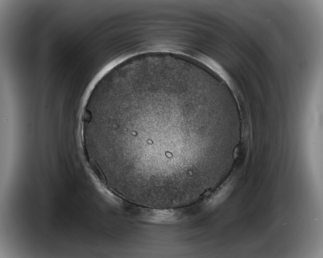 X0000085781144200703301419