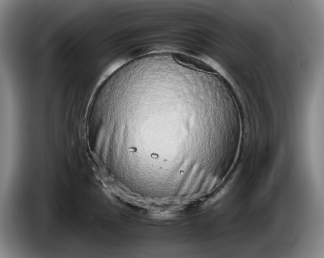 X0000085781145200703301419