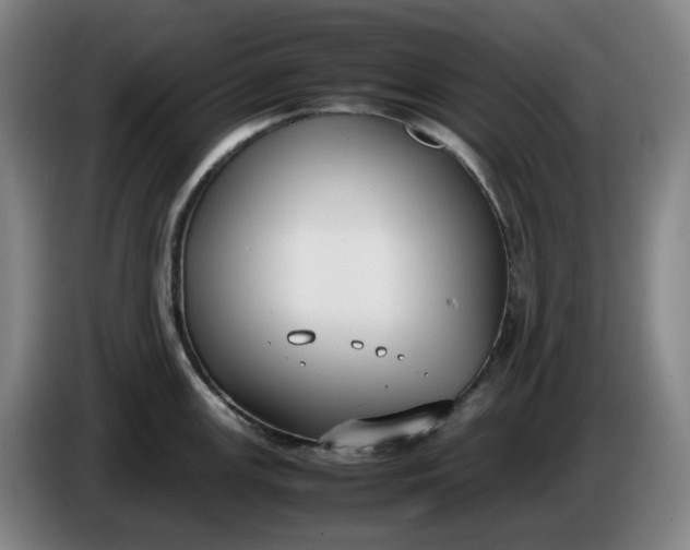 X0000085781147200703301420